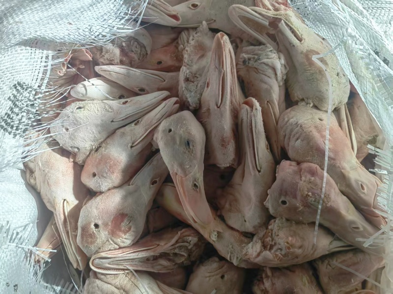 大板鸭头