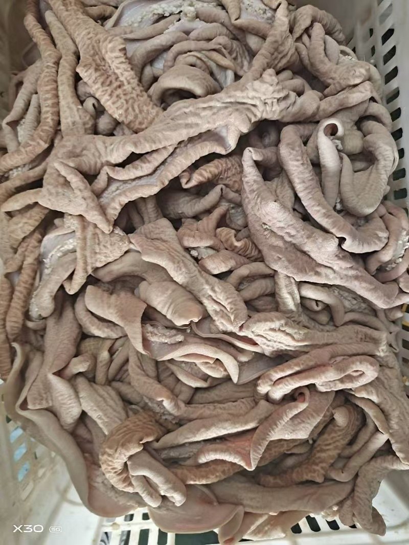 【剥开牛小肠-求合作】40斤牛副产品半成品剥开牛小肠