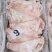 猪头肉