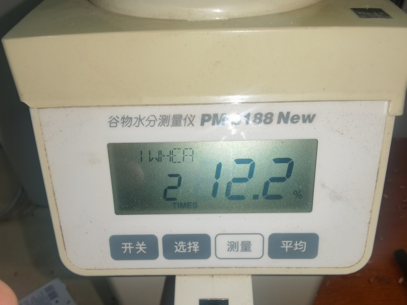 3号4龙麦60838容重12.2水分208吨