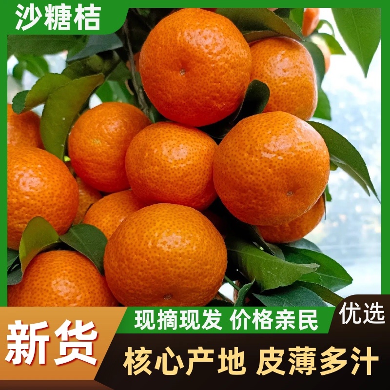 广西沙糖桔皮薄多汁，口感纯甜，供应商超社区团购