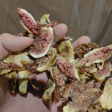 无花果干无花果深山高海拔老树果