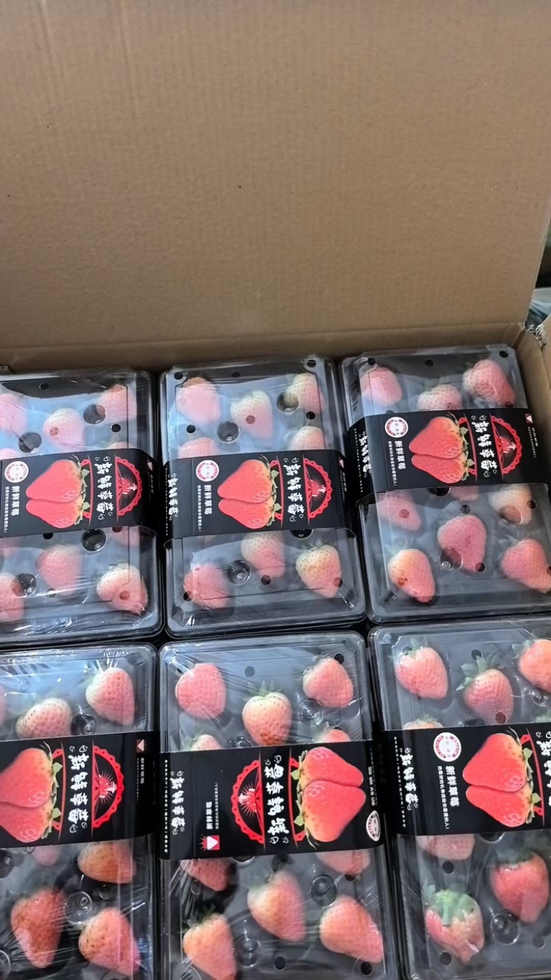 奶油草莓，产地直发，量大从优，对接市场电商平台