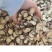 甘草片中药材批发特级甘草片无硫干草泡茶量大从优
