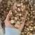 甘草片中药材批发特级甘草片无硫干草泡茶量大从优