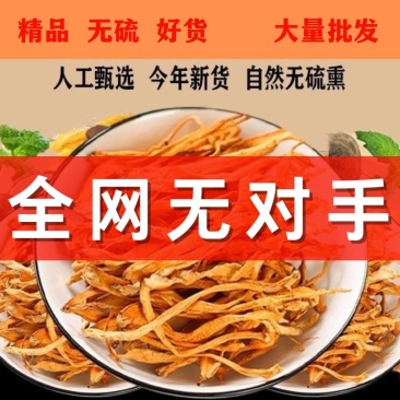 虫草花干货批发蛹虫草北虫草