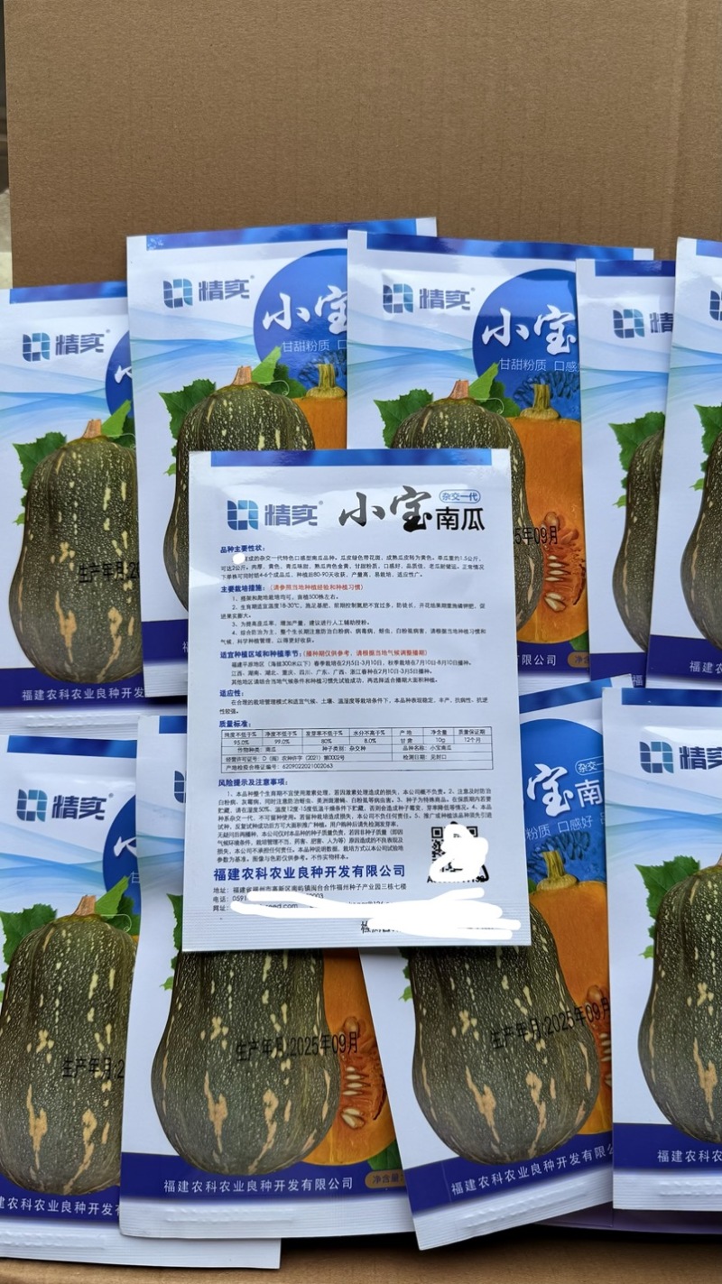 小宝南瓜种子杂交口感型南瓜种籽肉厚甘甜粉糯花生南瓜种子