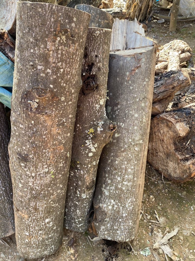 木姜子根枝叶树干山胡椒树可剥皮可定制大量干货木姜子树有