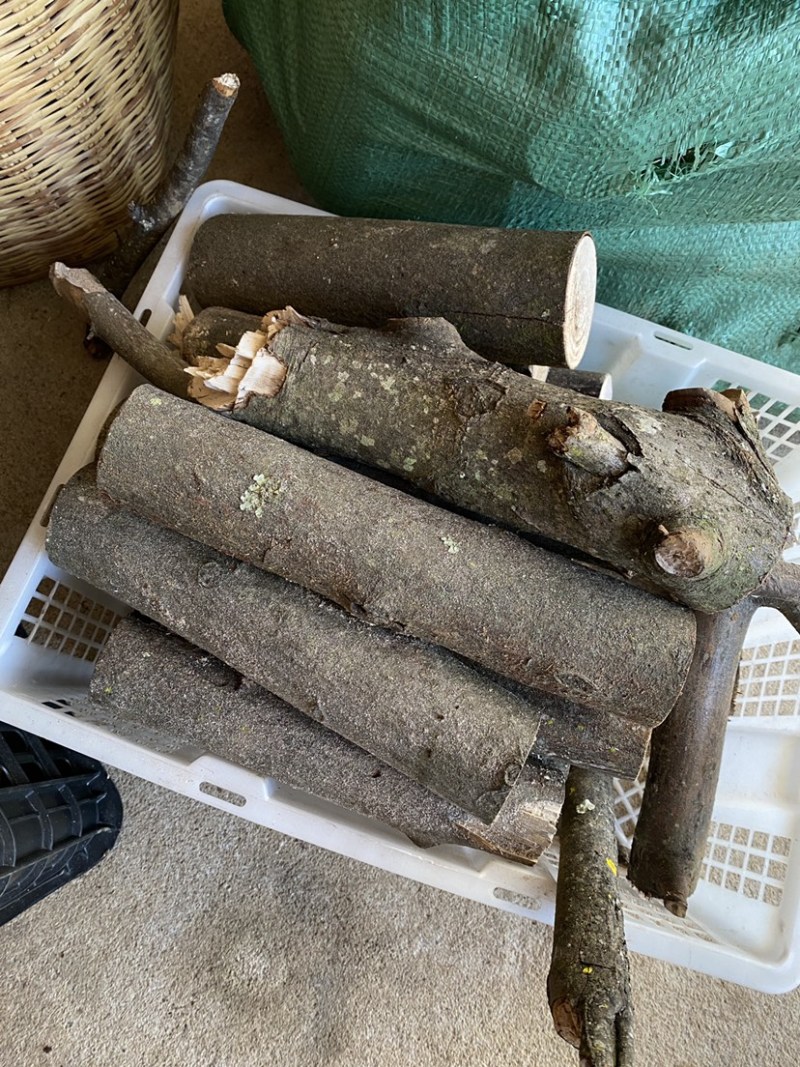 木姜子根枝叶树干山胡椒树可剥皮可定制大量干货木姜子树有