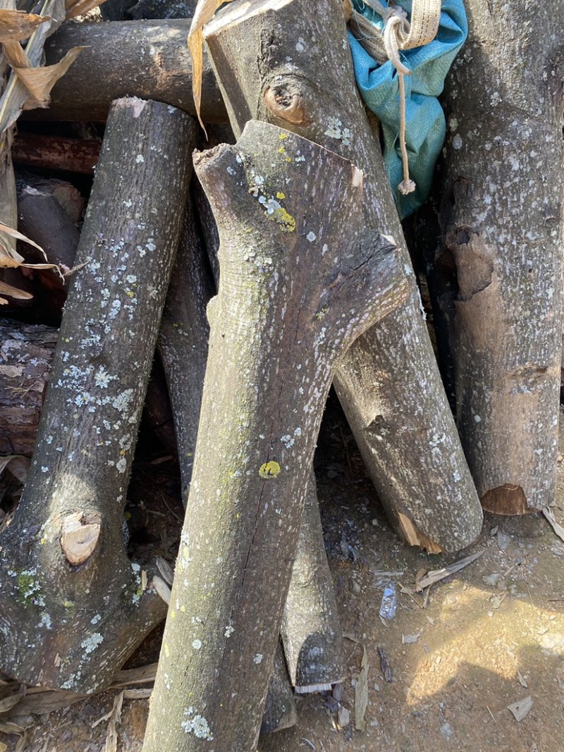 木姜子根枝叶树干山胡椒树可剥皮可定制大量干货木姜子树有
