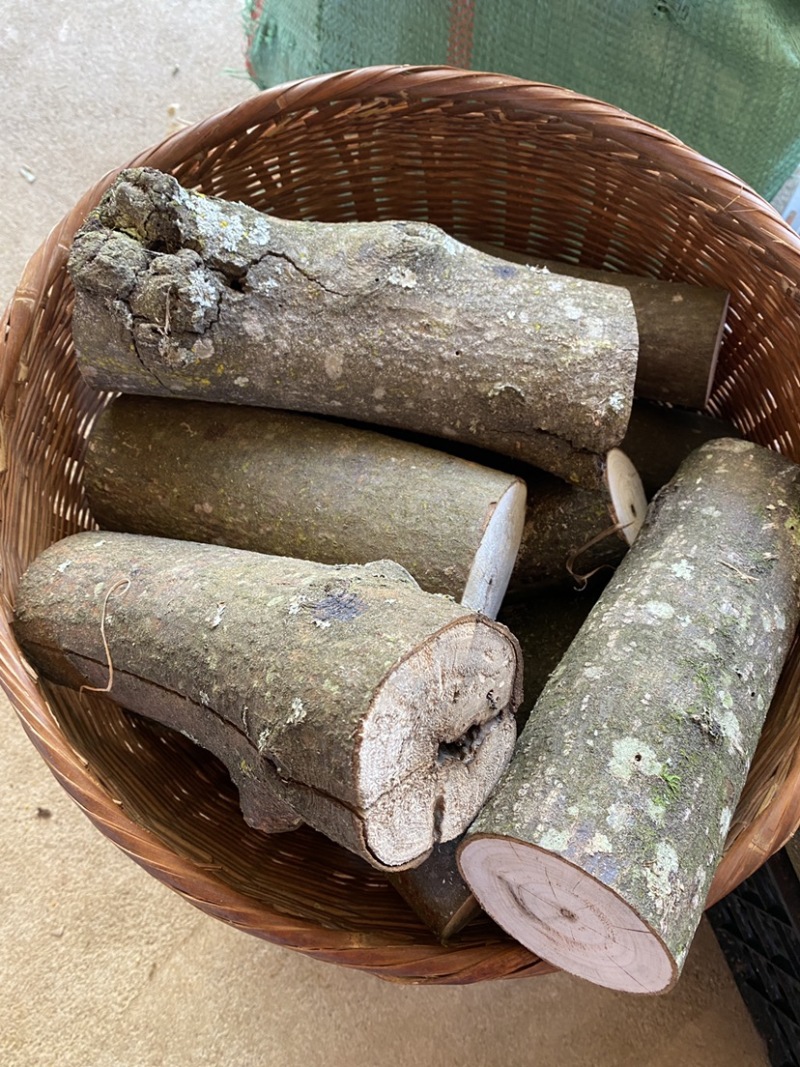 木姜子根枝叶树干山胡椒树可剥皮可定制大量干货木姜子树有