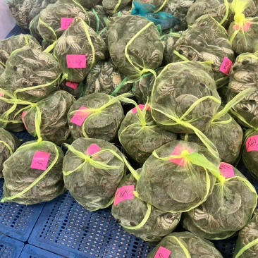 兴化大闸蟹新鲜捕捞小规格尝鲜满黄满膏批发