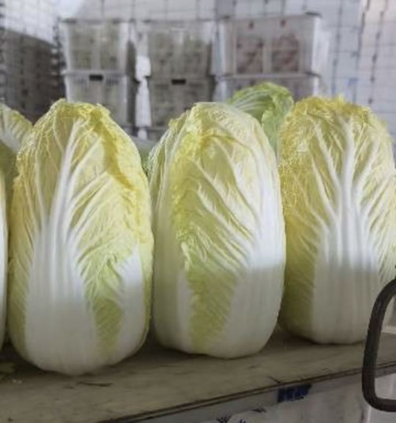 黄心娃娃菜