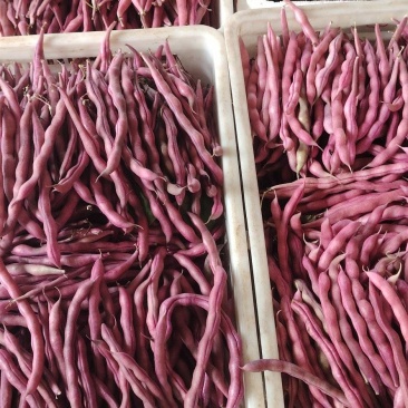 红豆少量有货