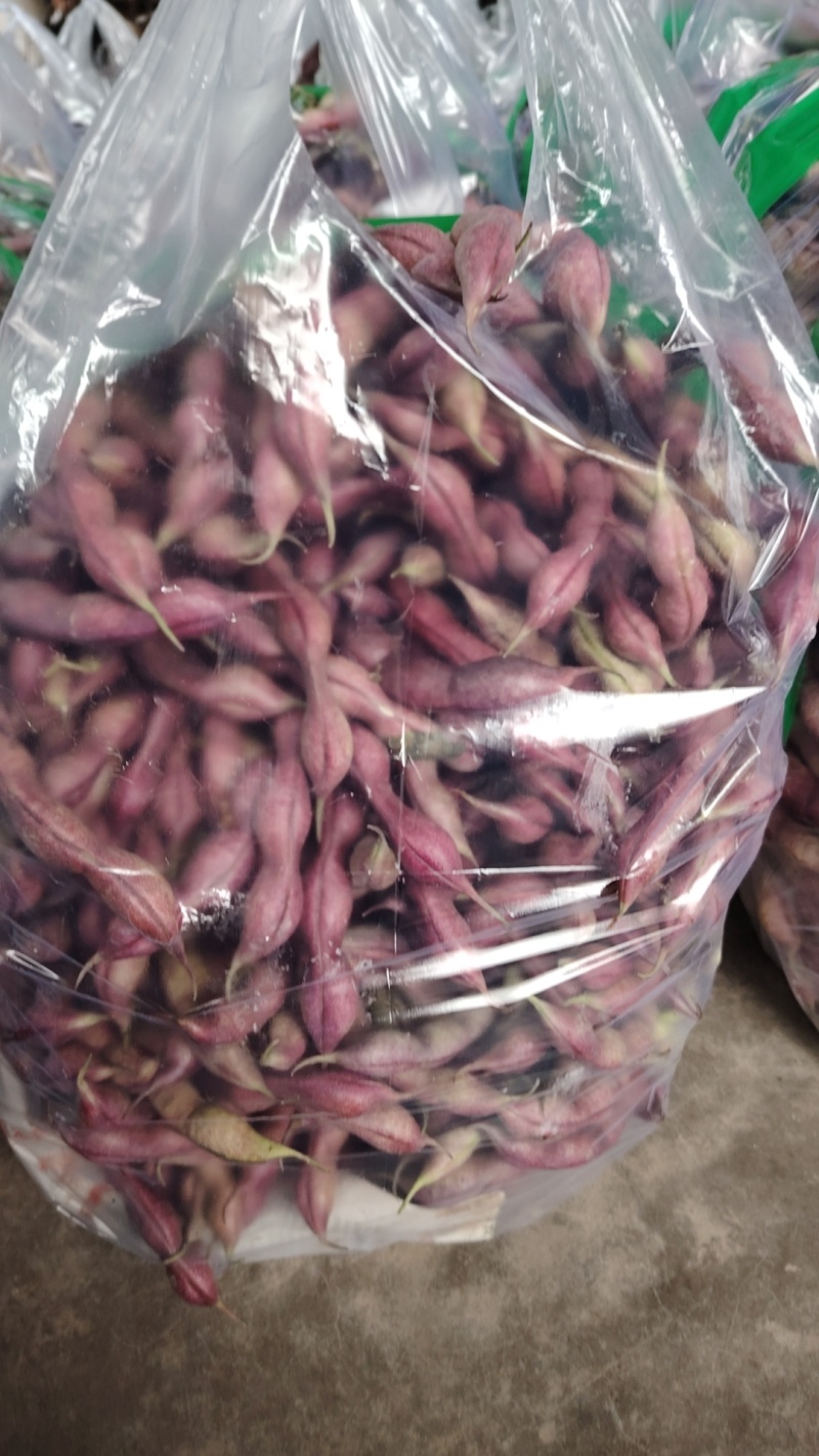 红豆少量有货