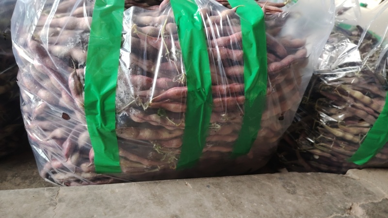 红豆少量有货