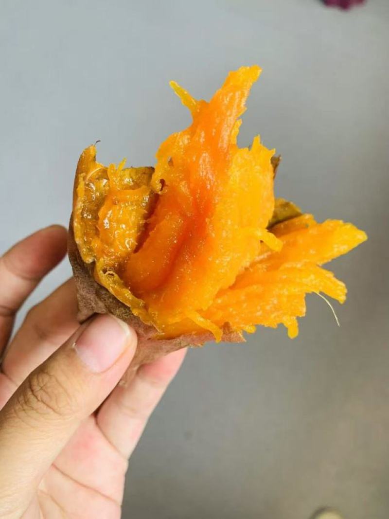 西瓜红.红薯大量上市，产地直发，品质保证，供应市场电商等