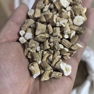 板蓝根规格齐全大货供应药厂投料质量保证