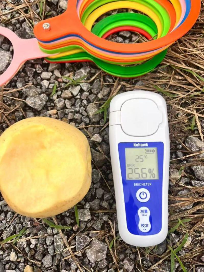 黄金维纳斯苹果，大量上市，产地直发，品质保证，服务周到