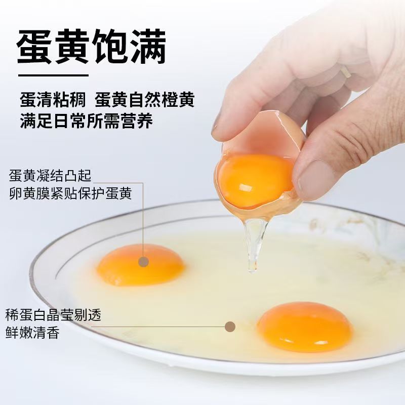 可生食富硒鲜鸡蛋