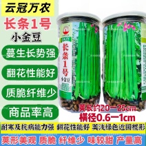 万农长条1号小金豆种子蔓生荚色浅绿近圆形质脆无筋纤维少春