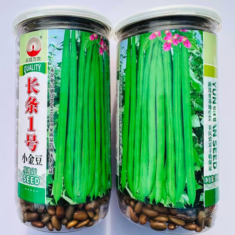万农长条1号小金豆种子蔓生荚色浅绿近圆形质脆无筋纤维少春