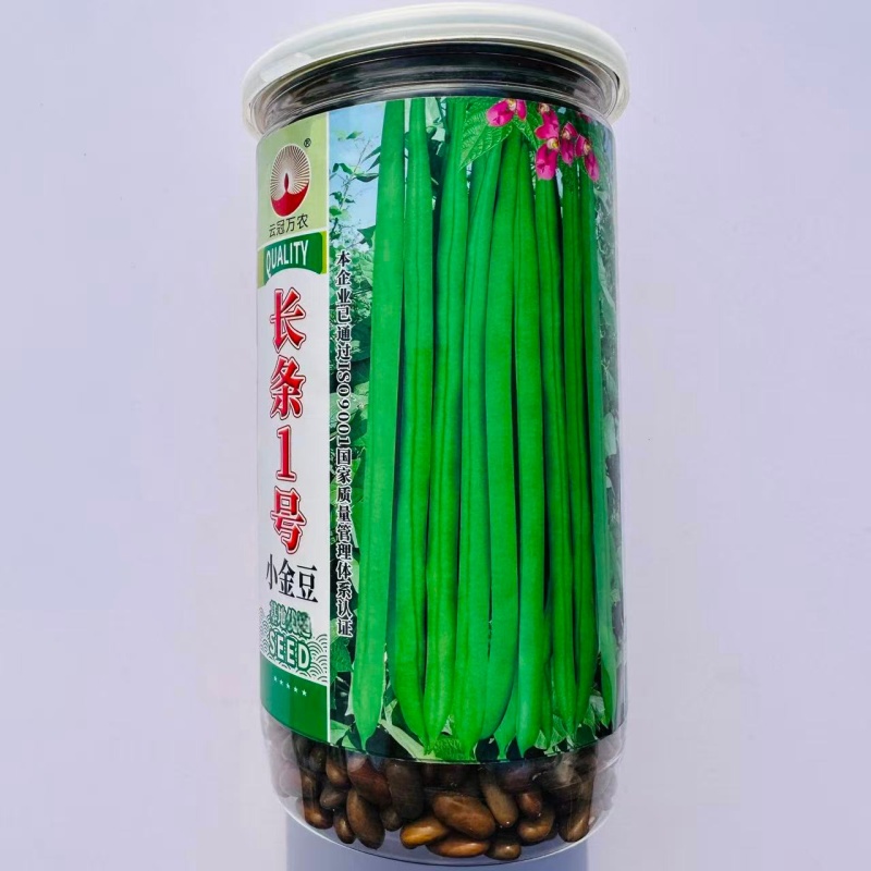 万农长条1号小金豆种子蔓生荚色浅绿近圆形质脆无筋纤维少春