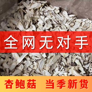 杏鲍菇干货批发杏鲍菇根片