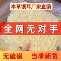 古田本草银耳无对手