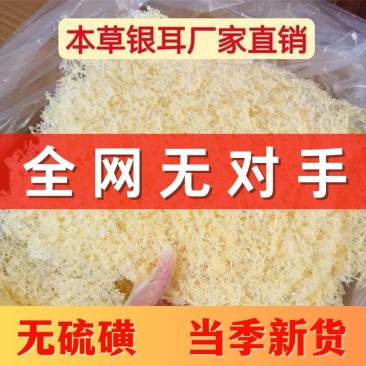 古田本草银耳无对手