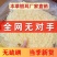 古田本草银耳无对手