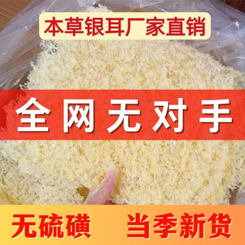 古田本草银耳无对手