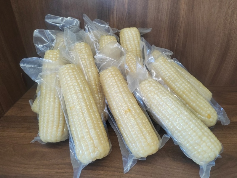 有机糯玉米