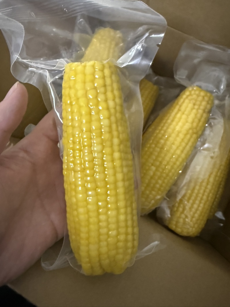 有机糯玉米
