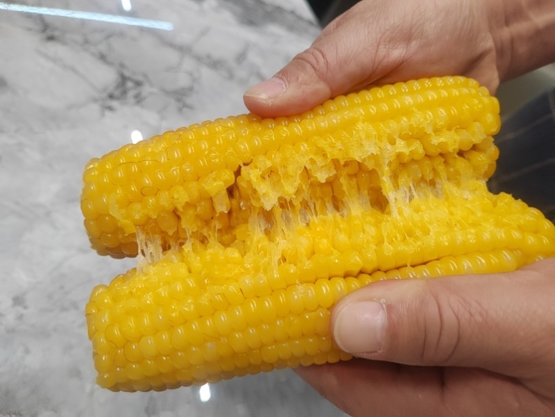有机糯玉米