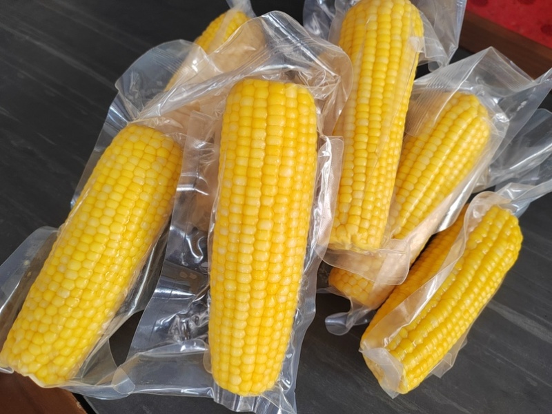 有机糯玉米