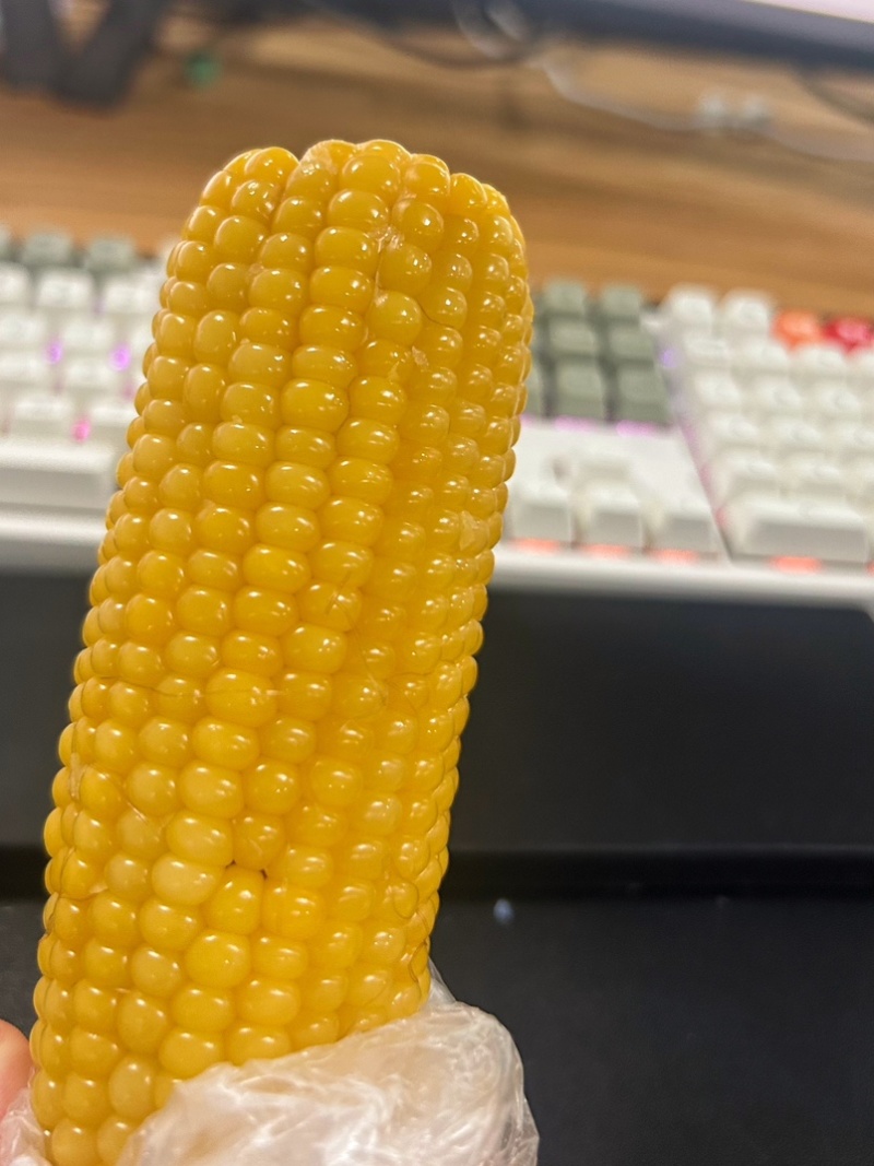 有机糯玉米