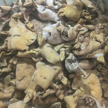 西门塔尔牛头皮自己加工，质量保证一手货源，价格合理