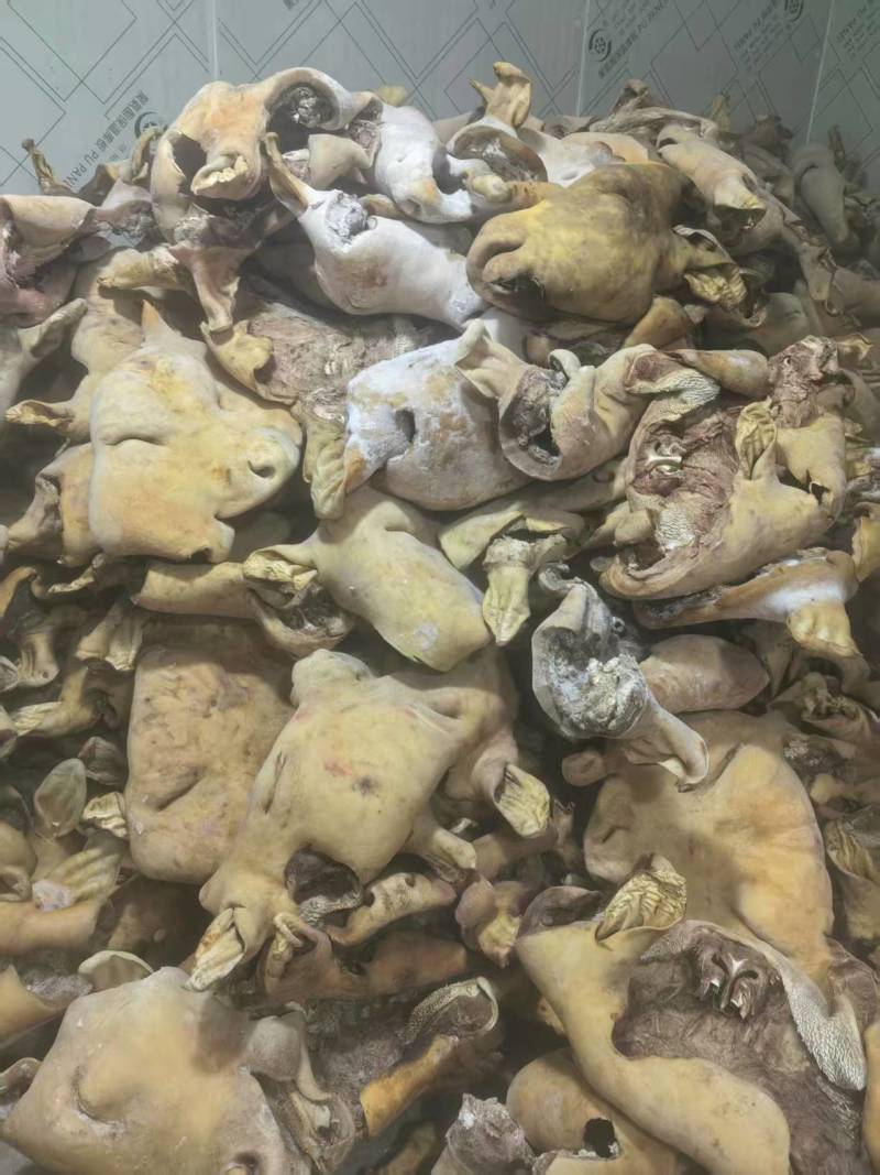西门塔尔牛头皮自己加工，质量保证一手货源，价格合理