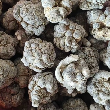 精选三七三七根茎云南产地直供质量保证量大优惠包邮