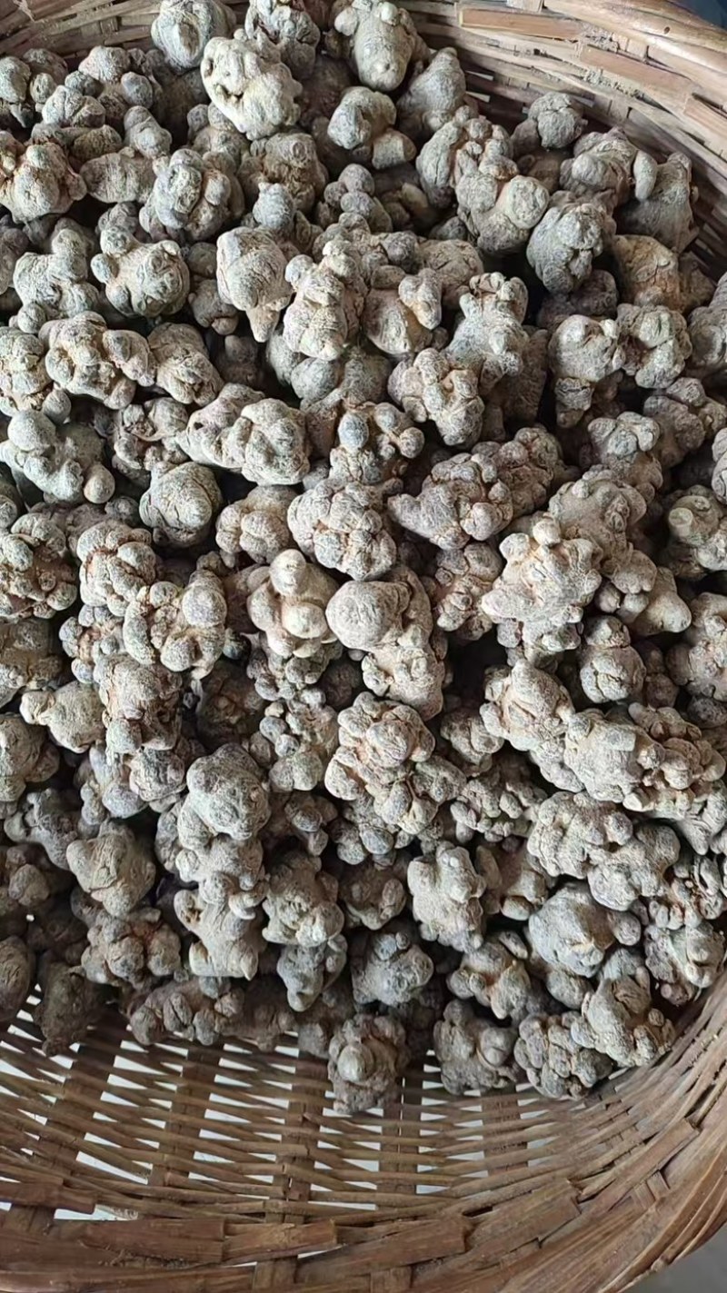 精选三七三七根茎云南产地直供质量保证量大优惠包邮