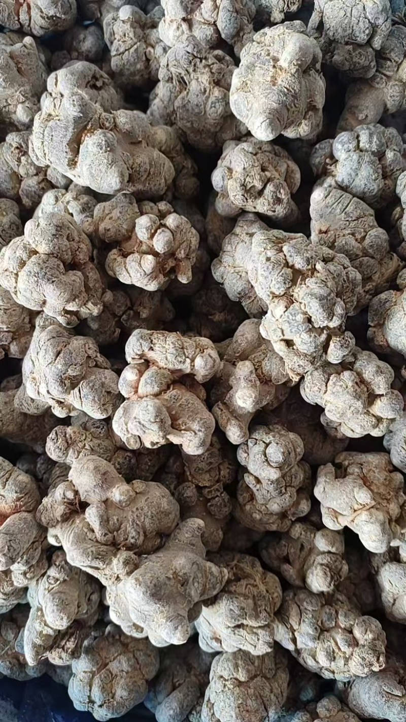 精选三七三七根茎云南产地直供质量保证量大优惠包邮