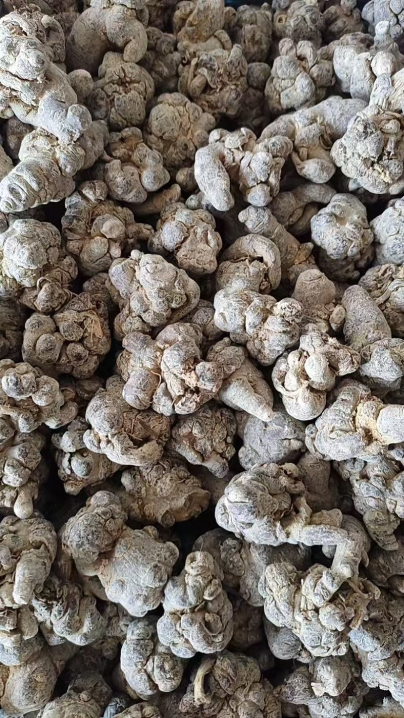 精选三七三七根茎云南产地直供质量保证量大优惠包邮