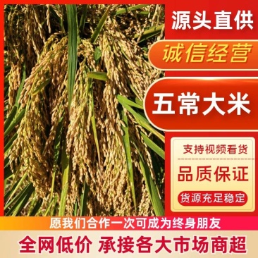 五常稻花香水稻，物美价廉保质保量绝不搀假