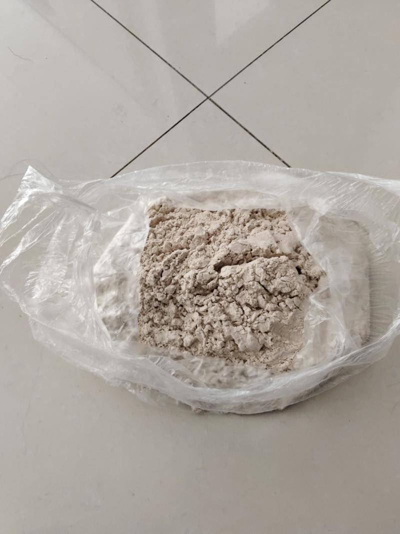 蔚县白高粱