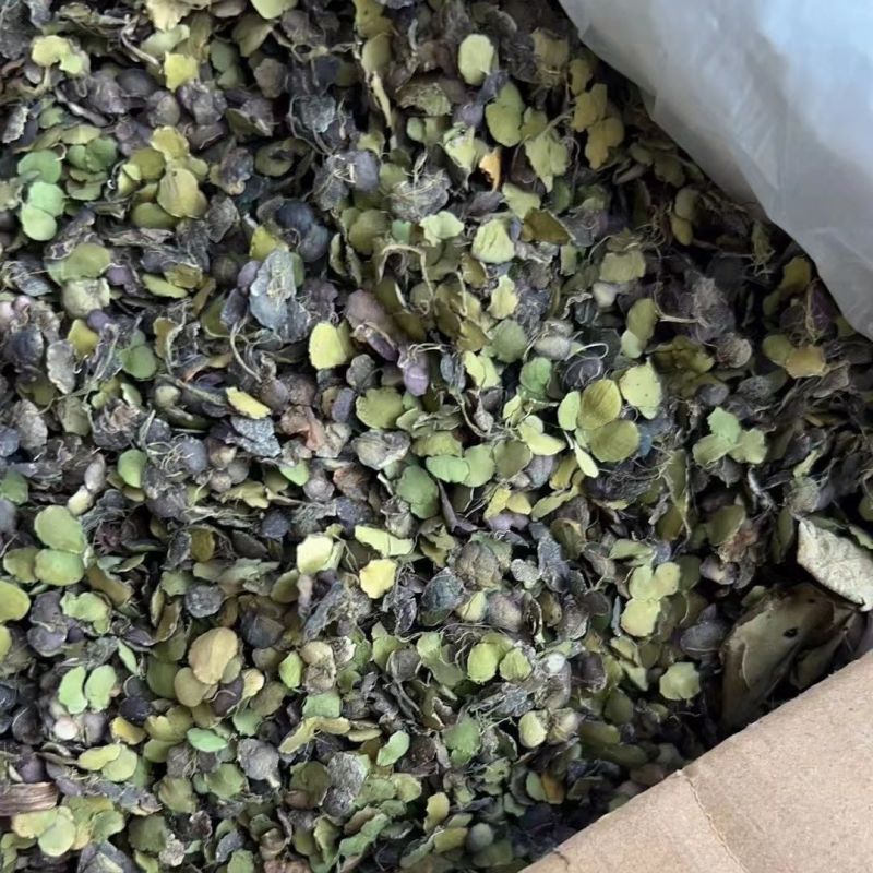 萍紫背浮萍新货无硫中药材浮萍草浮萍水干净无杂质量保证草药