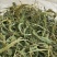 肾精草中药材长白山肾精草当季采摘康养斋中药材专营