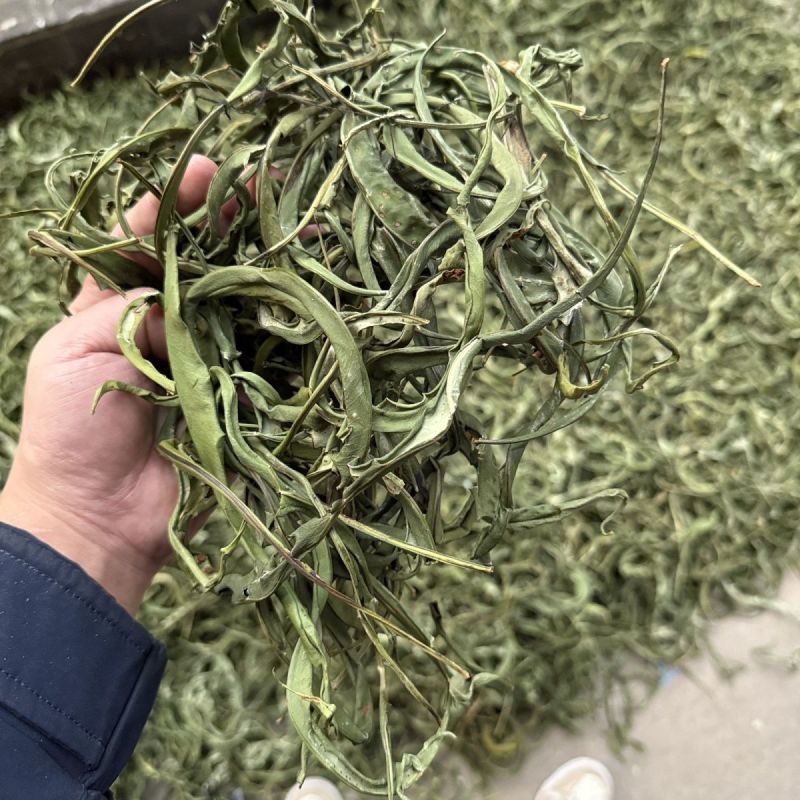 肾精草中药材长白山肾精草当季采摘康养斋中药材专营