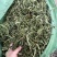 肾精草中药材长白山肾精草当季采摘康养斋中药材专营