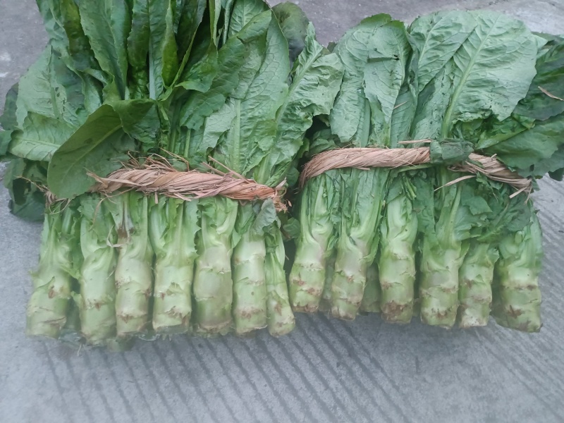 一点红莴笋上市了质量保证赶紧下单。
